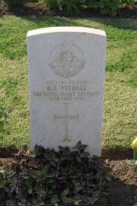 Ismailia War Memorial Cemetery - Withall, Harold James